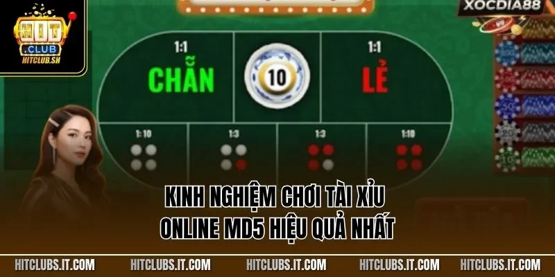 Kinh nghiệm chơi tài xỉu online MD5 hiệu quả nhất